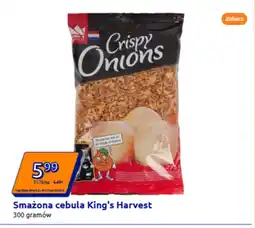 Action Cebula smażona ECO oferta