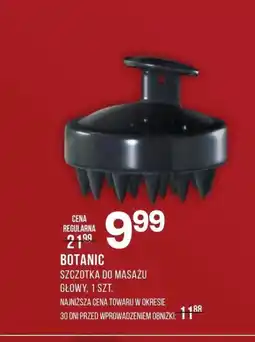 Drogerie Natura Masażer do głowy Botanic oferta