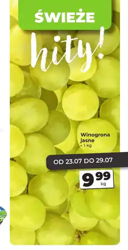Odido Winogrona oferta