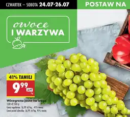 Biedronka Winogrona jasne Biedronka oferta