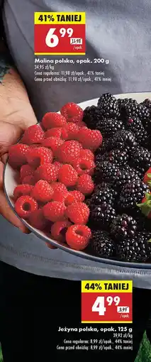 Biedronka Jeżyna polska Biedronka oferta