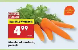 Biedronka Marchewka młoda Biedronka oferta