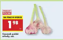 Biedronka Czosnek polski młody Biedronka oferta