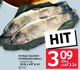 Selgros Pstrąg tęczowy patroszony Selgros oferta