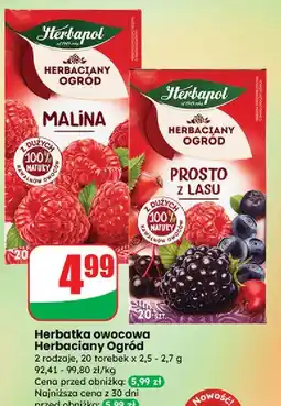 Dino Herbata prosto z lasu Herbapol Herbaciany Ogród oferta