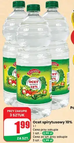 Dino Ocet spirytusowy 10 % Octownia Białystok oferta