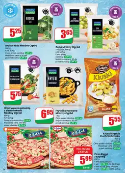 Dino Zupa kalafiorowa Mroźny Ogród oferta