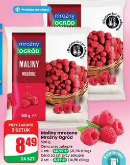 Dino Maliny Mroźny Ogród oferta