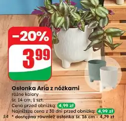 Dino Osłonka z nóżkami aria 14 cm oferta
