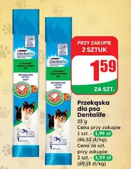 Dino Przekąska dla psa Purina Dentalife oferta