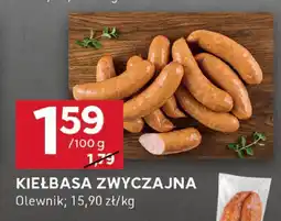 Stokrotka Kiełbasa zwyczajna Olewnik oferta
