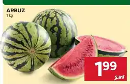 Stokrotka Arbuz Stokrotka oferta