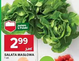 Stokrotka Sałata masłowa Stokrotka oferta