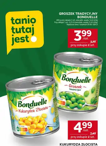 Stokrotka Kukurydza złocista Bonduelle oferta