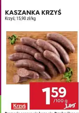 Stokrotka Kaszanka krzyś oferta