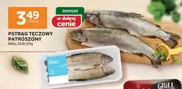 Stokrotka Pstrąg tęczowy patroszony Mirko oferta