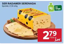 Stokrotka Ser Radamer Serenada Spomlek oferta