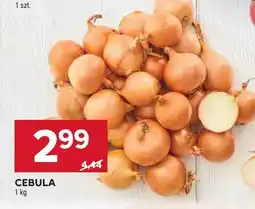 Stokrotka Cebula Stokrotka oferta