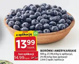 Stokrotka Borówki amerykańskie Stokrotka oferta