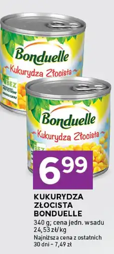 Stokrotka Kukurydza złocista Bonduelle oferta