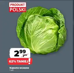 Netto Kapusta Polski oferta