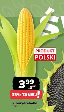 Netto Kukurydza Polski oferta