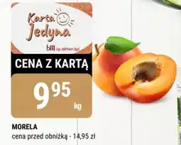 bi1 Morela oferta