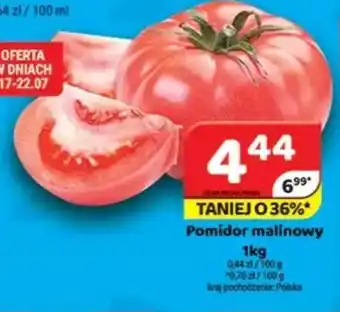 Delfin Pomidor malinowy oferta