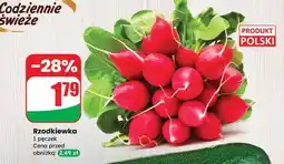 Dino Rzodkiewka Dino oferta