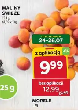 Stokrotka Market Morele oferta