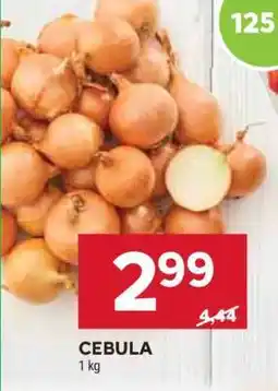 Stokrotka Market Cebula oferta