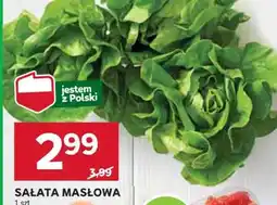 Stokrotka Market Sałata masłowa oferta