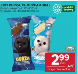 Stokrotka Market Lody Burza, Chmurka Koral oferta