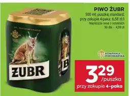 Stokrotka Market Piwo ŻUBR oferta