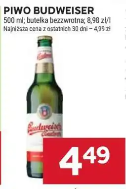 Stokrotka Market Piwo Budweiser oferta