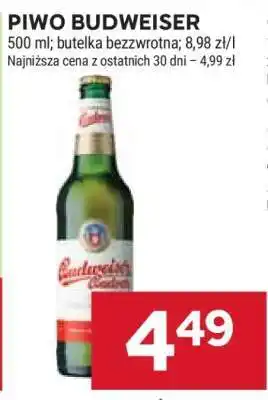 Stokrotka Market Piwo Budweiser oferta
