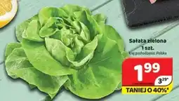 Delfin Sałata zielona oferta