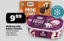 Netto Lody mini cones Gelato Classico oferta
