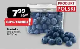 Netto Borówki amerykańskie polska oferta