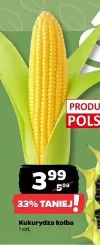 Netto Kukurydza polska oferta
