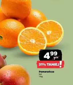 Netto Pomarańcze oferta