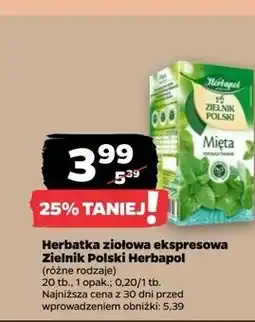Netto Herbatka mięta Herbapol Zielnik Polski oferta
