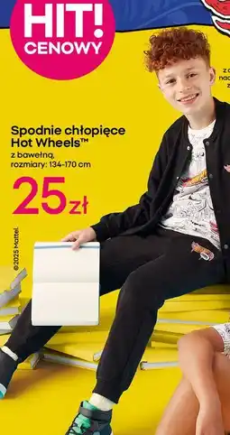 Pepco Spodnie chłopięce dresowe hot wheels oferta