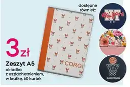 Pepco Zeszyt a5/60 k w kratkę oferta