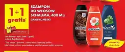 Biedronka Szampon do włosów stronger longer Schauma oferta