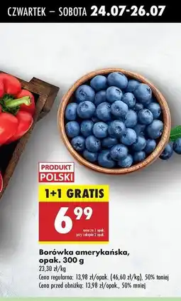 Biedronka Borówki amerykańskie oferta
