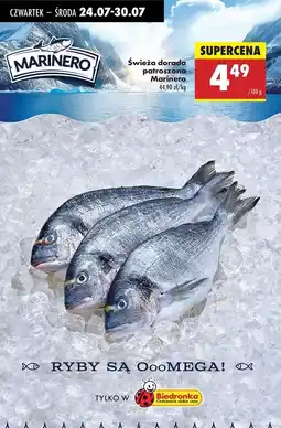 Biedronka Dorada patroszona świeża Marinero oferta