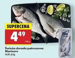 Biedronka Dorada patroszona świeża Marinero oferta