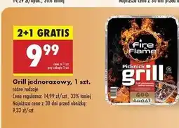 Biedronka Grill jednorazowy Fire & Flame oferta