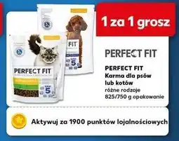 Kaufland Karma dla kota sensitive 1+ Perfect Fit oferta